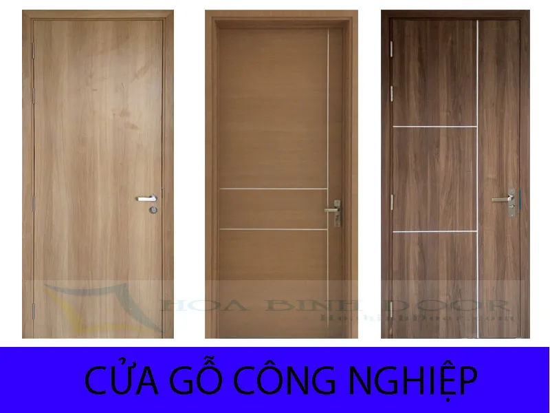 Mẫu Cửa HDF Tại Thủ Đức